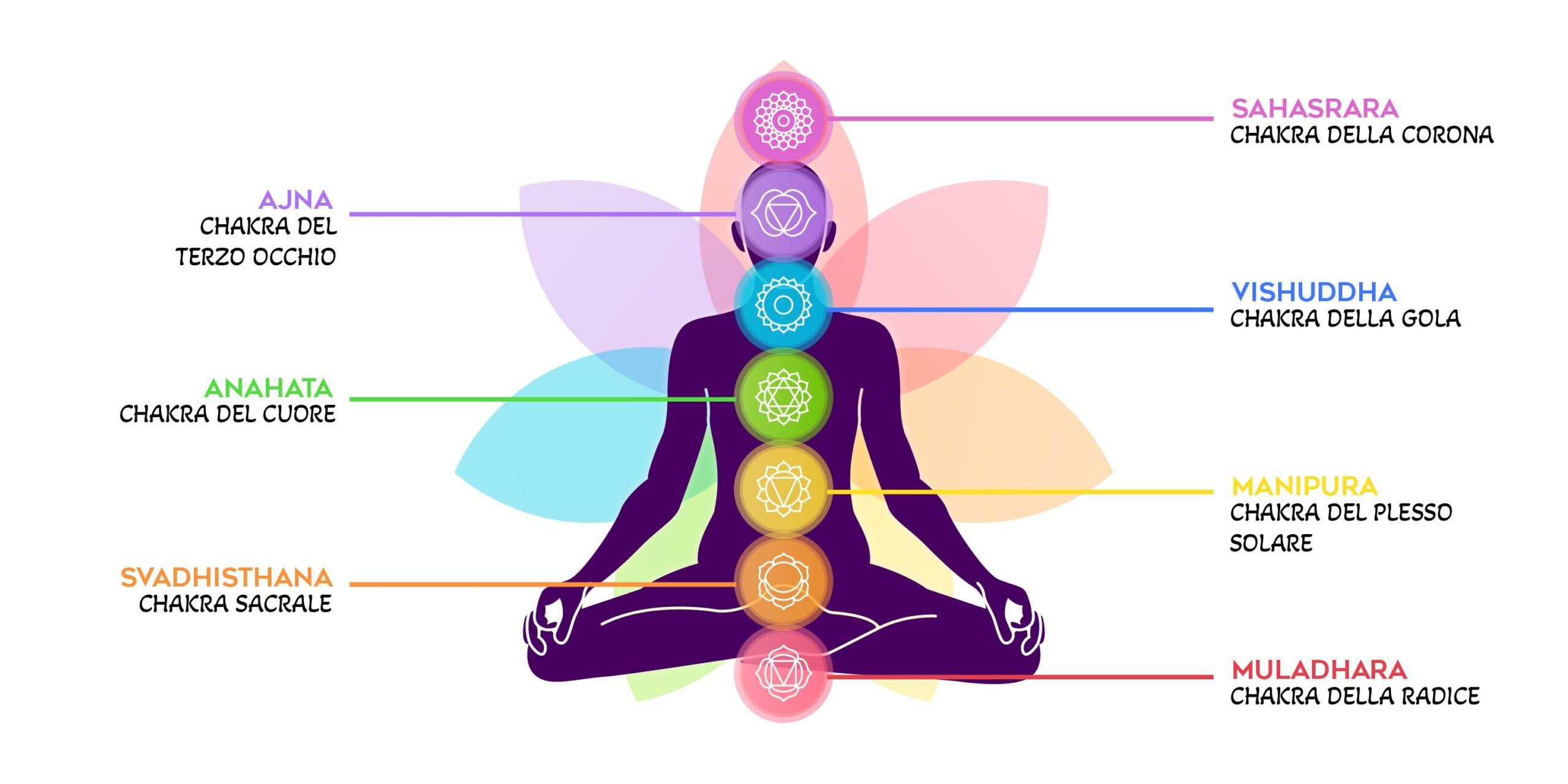 All seven Chakra